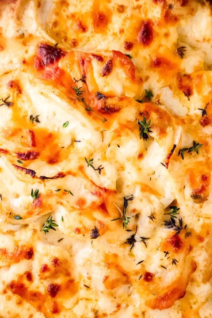 golden-brown-au-gratin-potatoes-with-cheese-topping