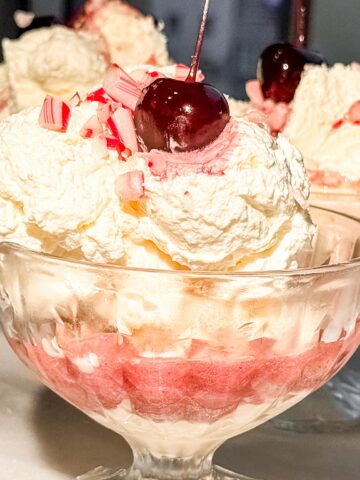 homemade-cranberry-sauce-drizzled-over-vanilla-ice-cream