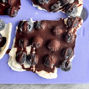 dark-chocolate-drizzle-blueberry-frozen-yogurt-bark