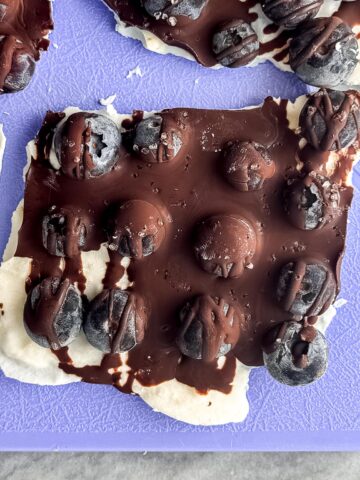 dark-chocolate-drizzle-blueberry-frozen-yogurt-bark