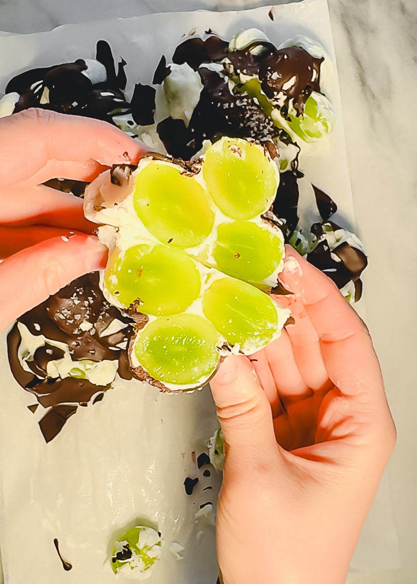 chocolate-yogurt-frozen-grape-clusters-gluten-free